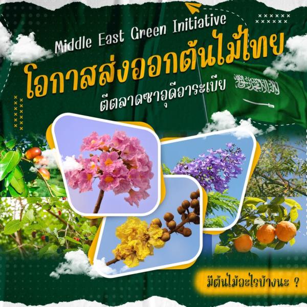Middle East Green Initiative โอกาสส่งออกต้นไม้ไทย ตีตลาดซาอุดีอาระเบีย