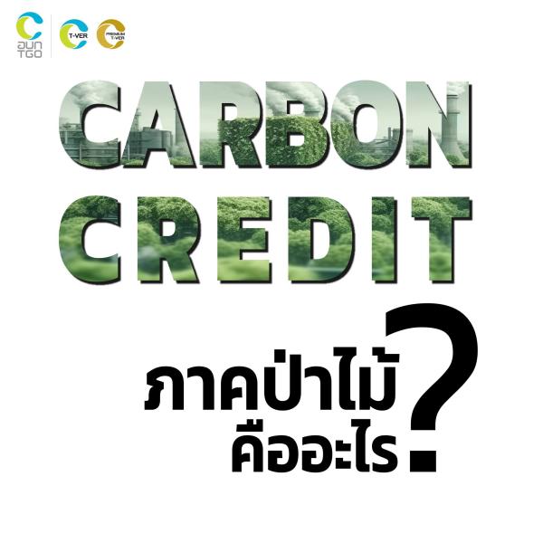 Carbon Credit ภาคป่าไม้ คืออะไร