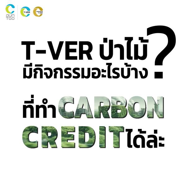 T-VER ป่าไม้มีกิจกรรมอะไรบ้าง? ที่ทำ Carbon Credit ได้ล่ะ
