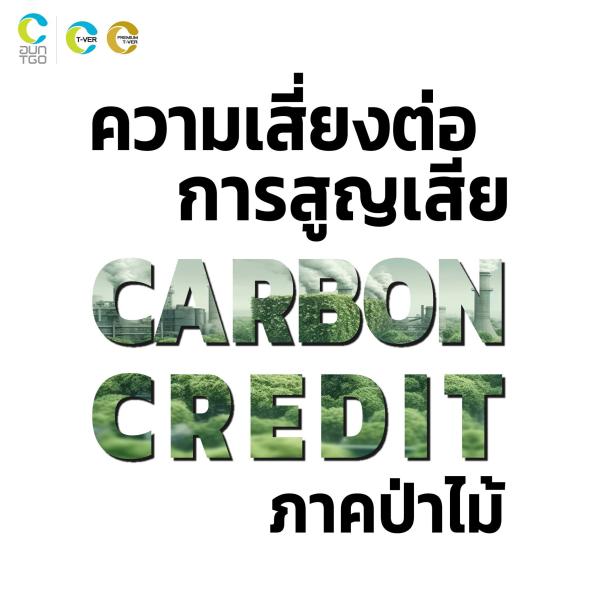 ความเสี่ยงต่อการสูญเสีย Carbon Credit ของภาคป่าไม้